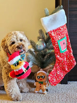 2023 FuzzYard Christmas Essentials