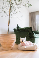 Using Colour Theory in your Home with FuzzYard Life