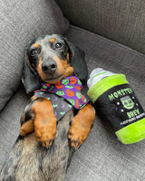 Meet Frankie - Meet the FY Fam