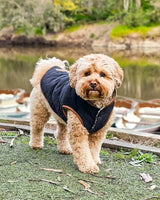 Life of a Dogfluencer - Meet Yoda