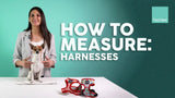 How to Measure Your Dog for a FuzzYard Harness