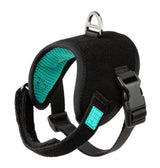 Rep It - Harness by FuzzYard