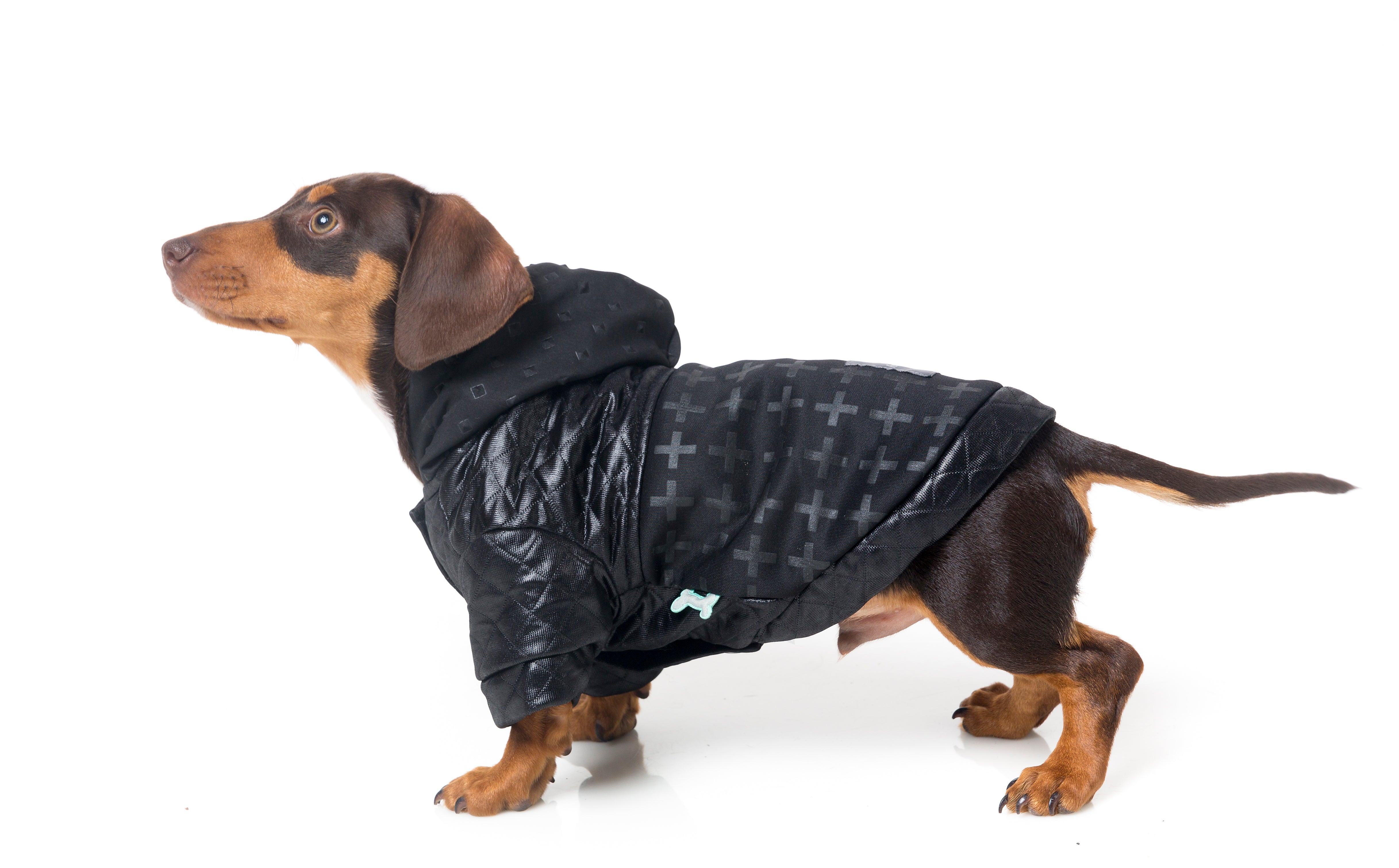 Eezy Hoodie