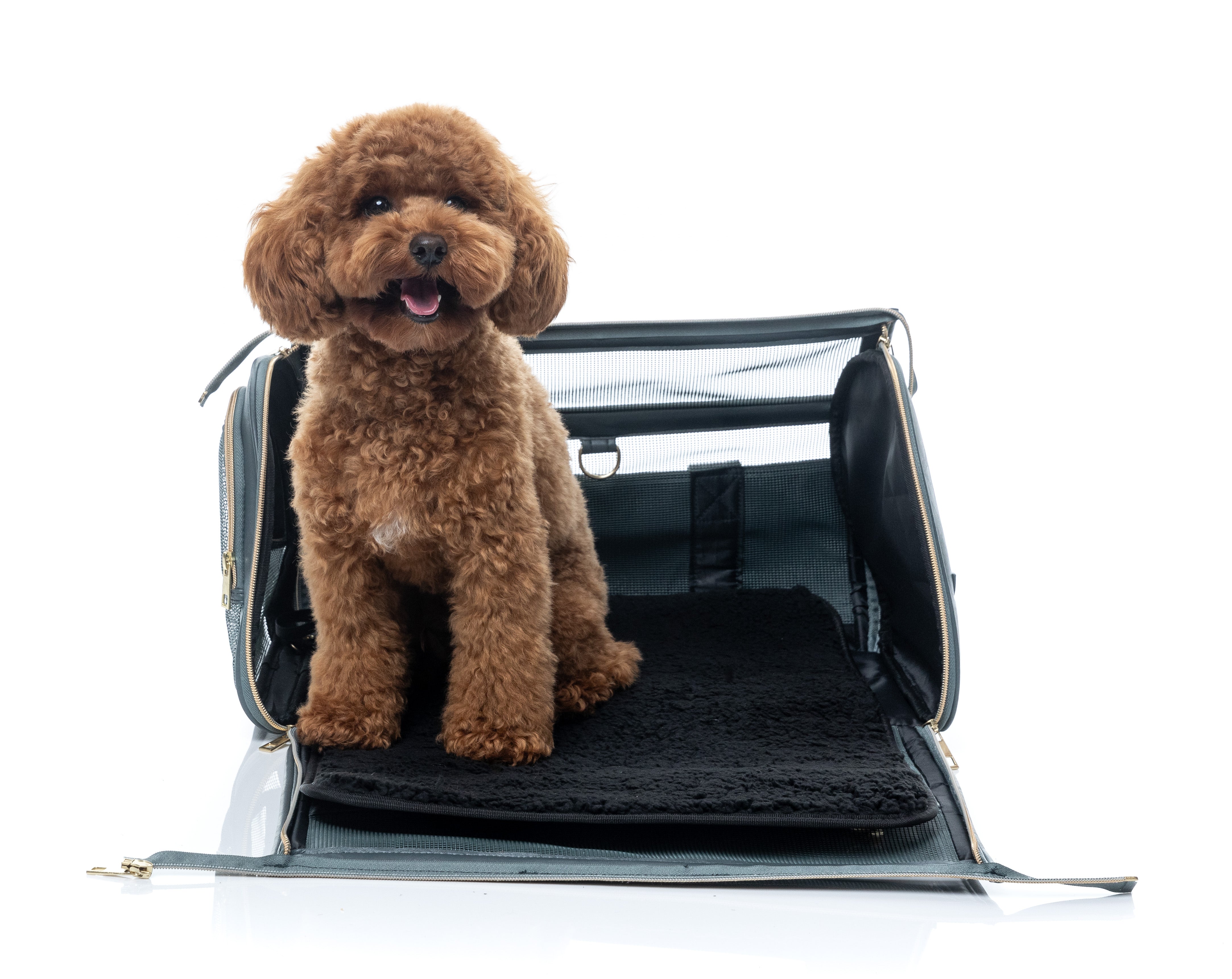 FuzzYard Life Pet Travel Carrier - Slate Grey