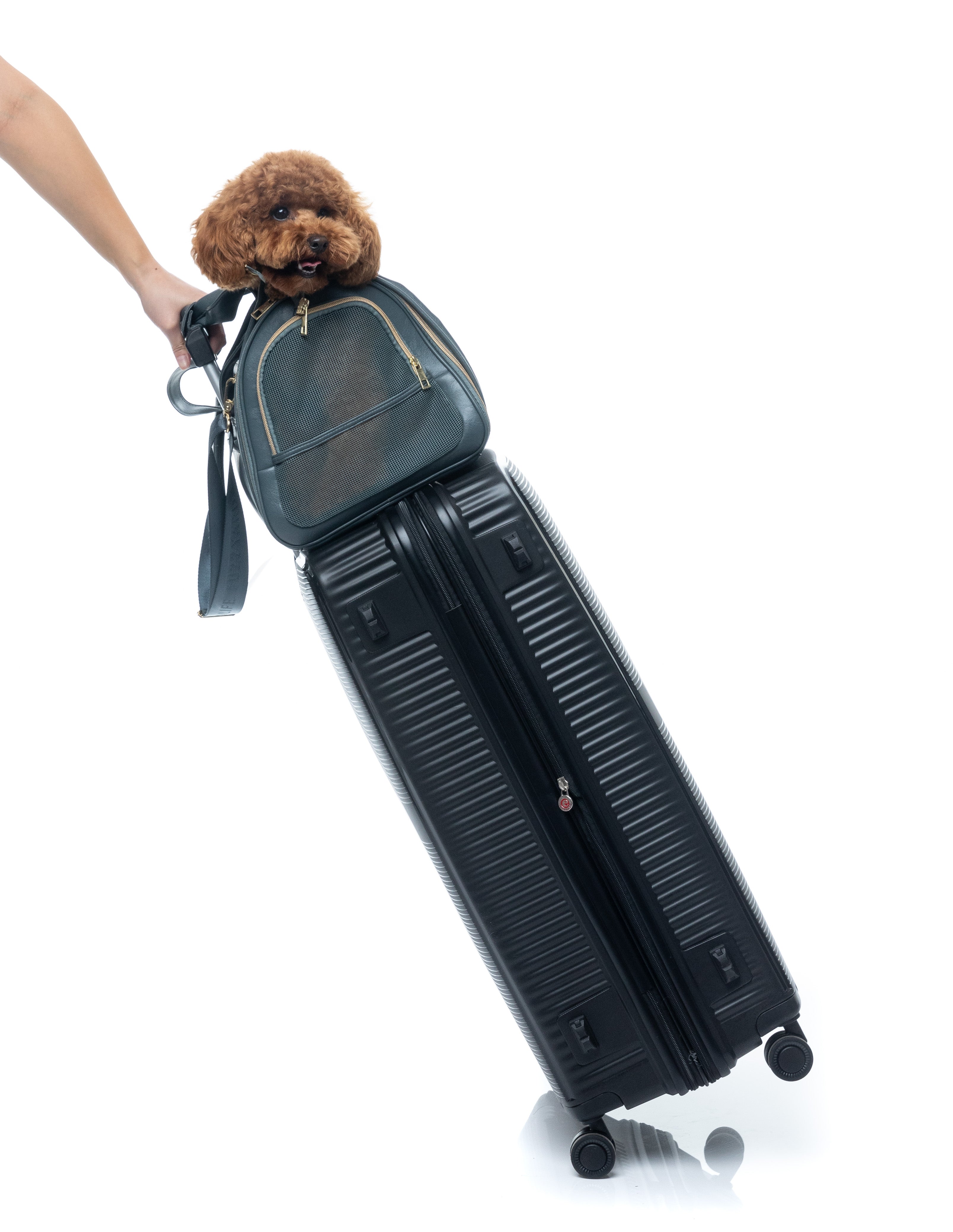 FuzzYard Life Pet Travel Carrier - Slate Grey