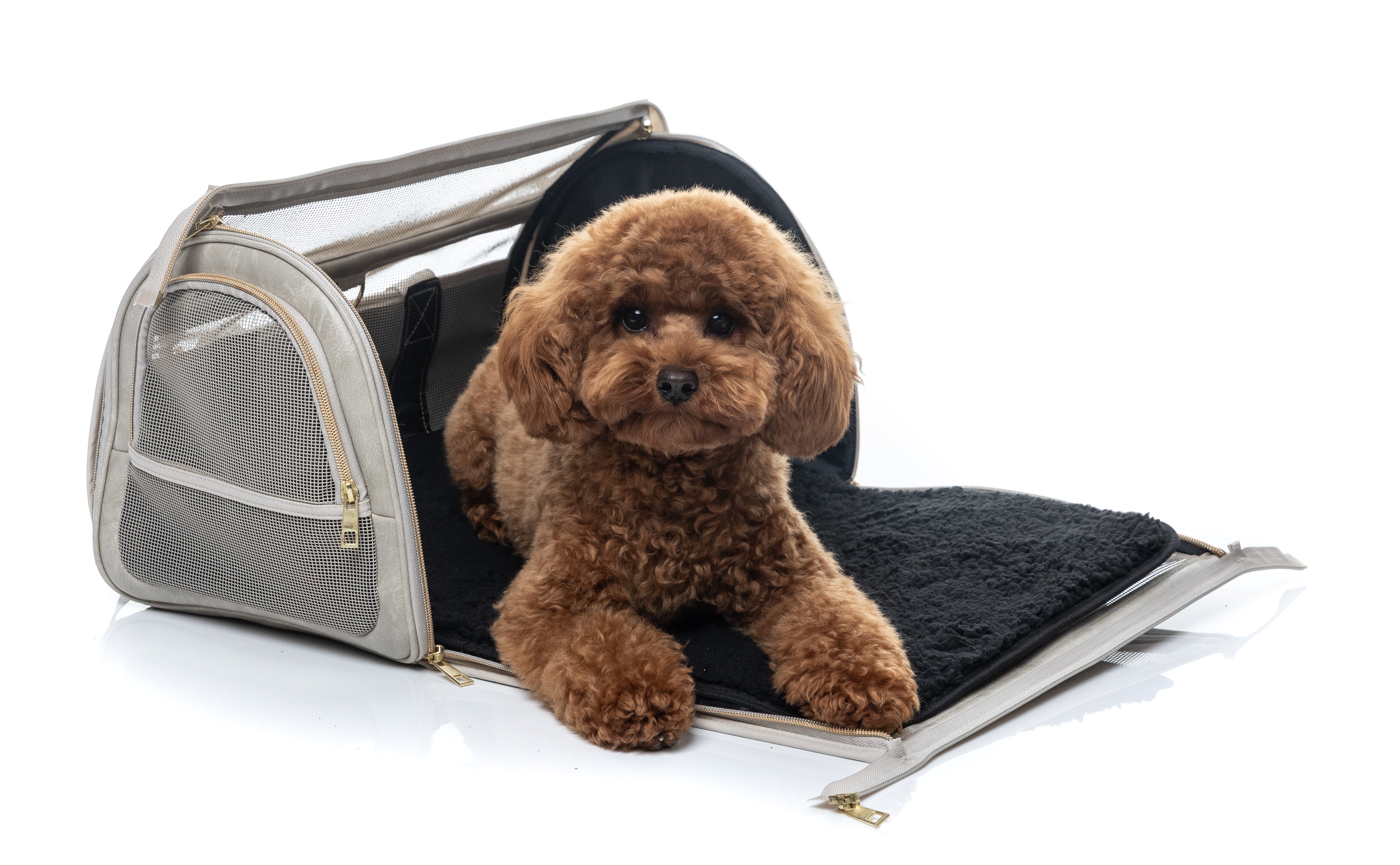 FuzzYard Life Pet Travel Carrier - Sandstone