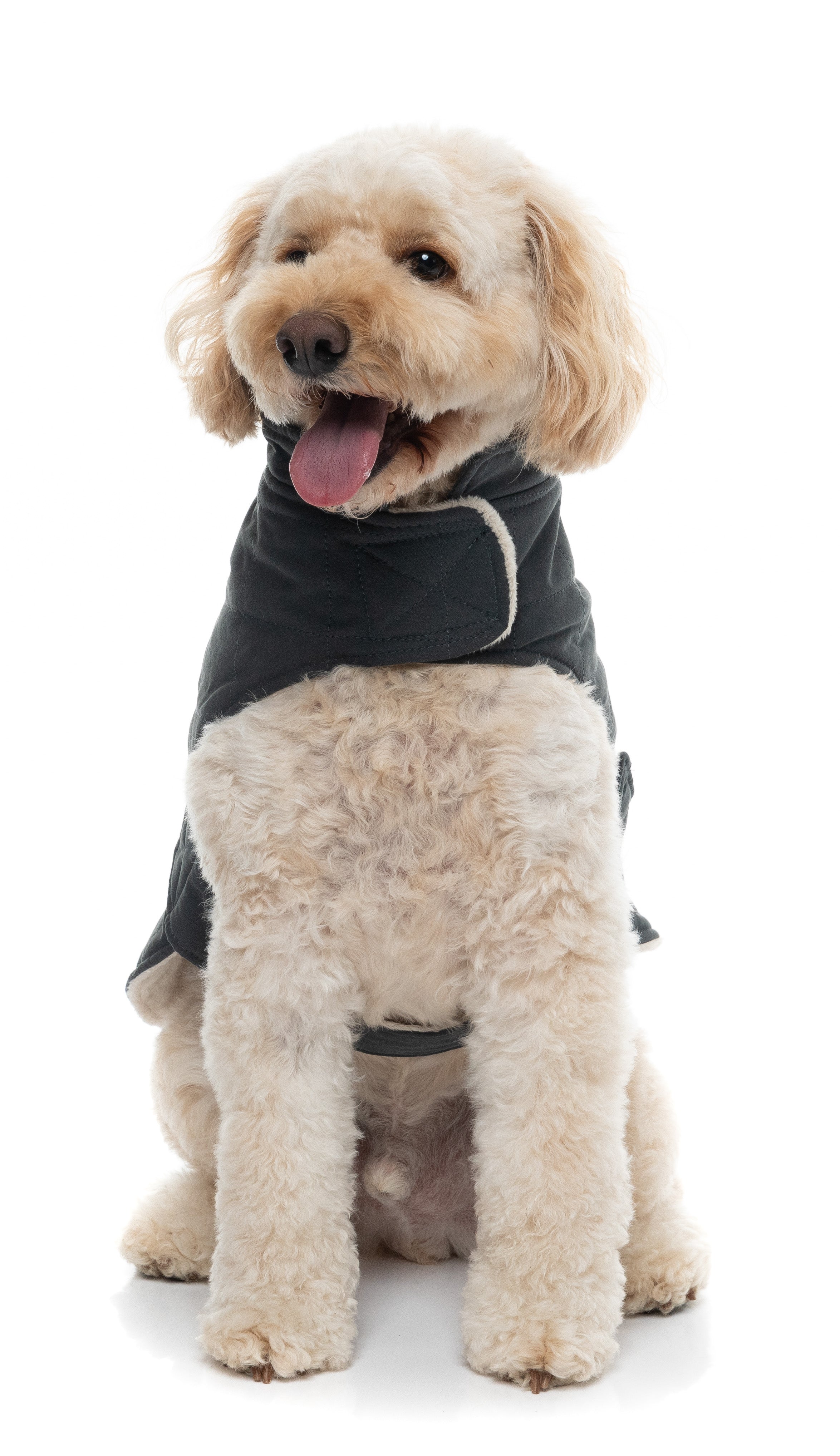 FuzzYard Life Quilted Cotton Wrap Vest - Slate Grey