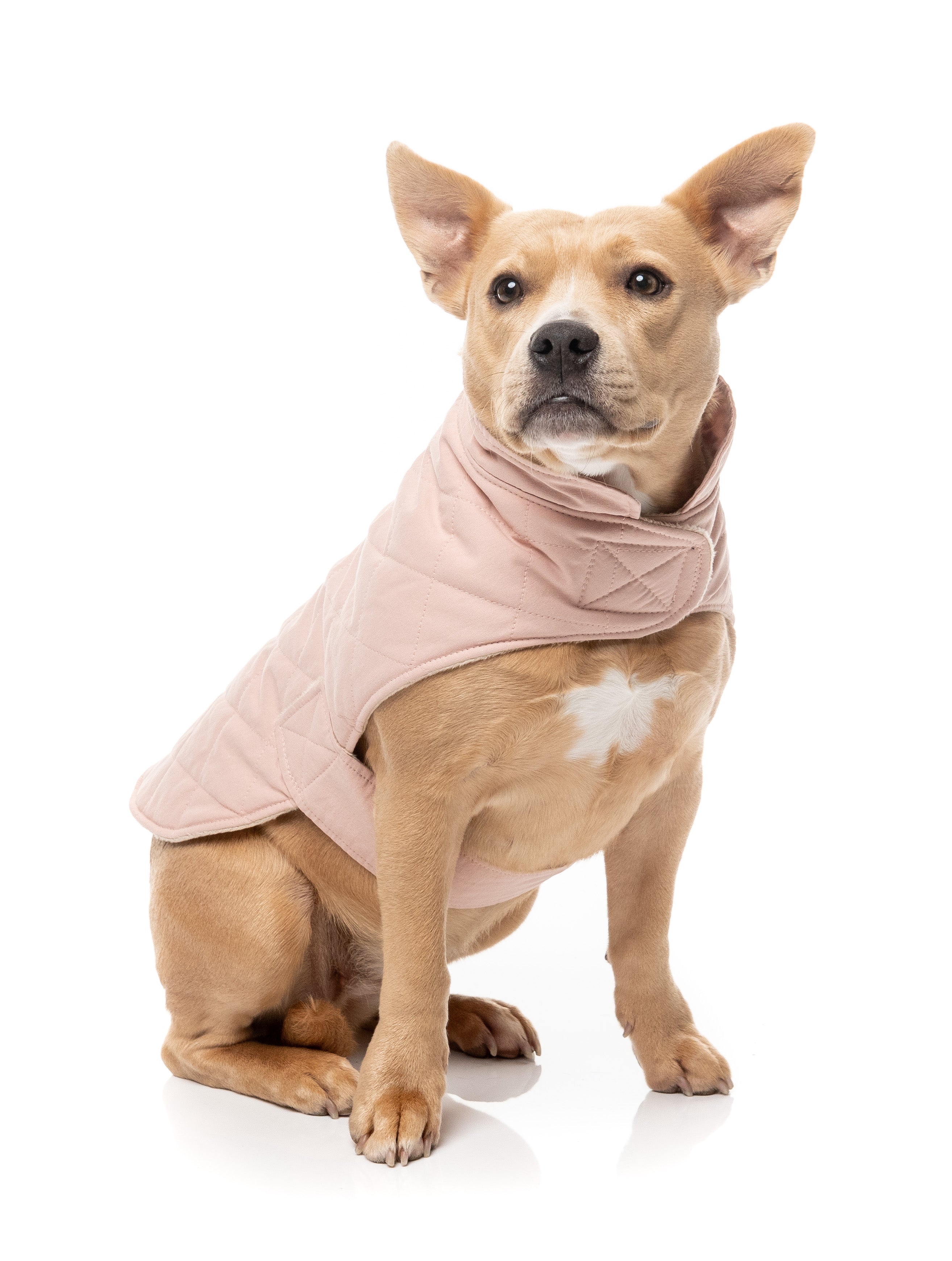 FuzzYard Life Quilted Cotton Wrap Vest - Soft Blush