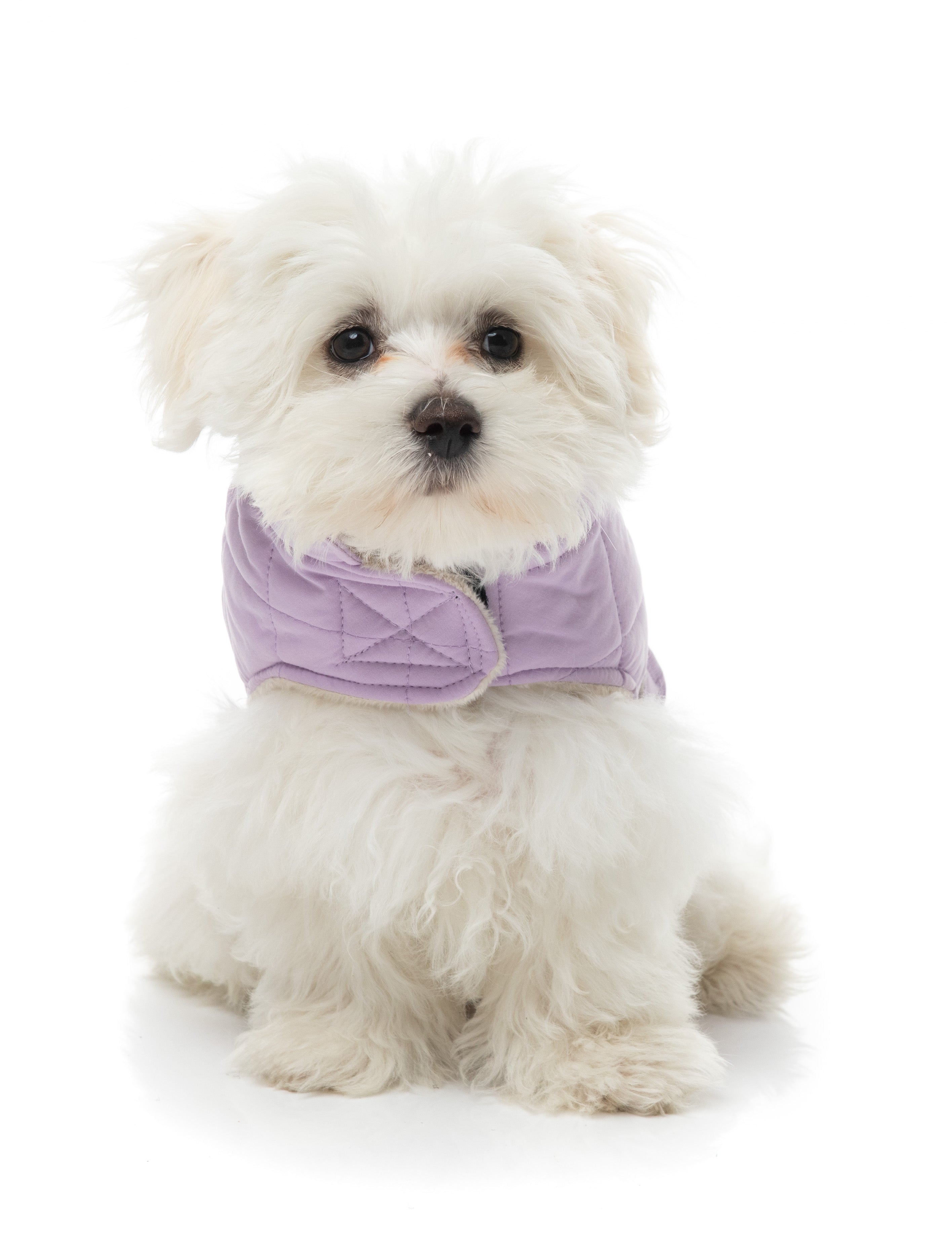 FuzzYard Life Wrap Vest - Lilac
