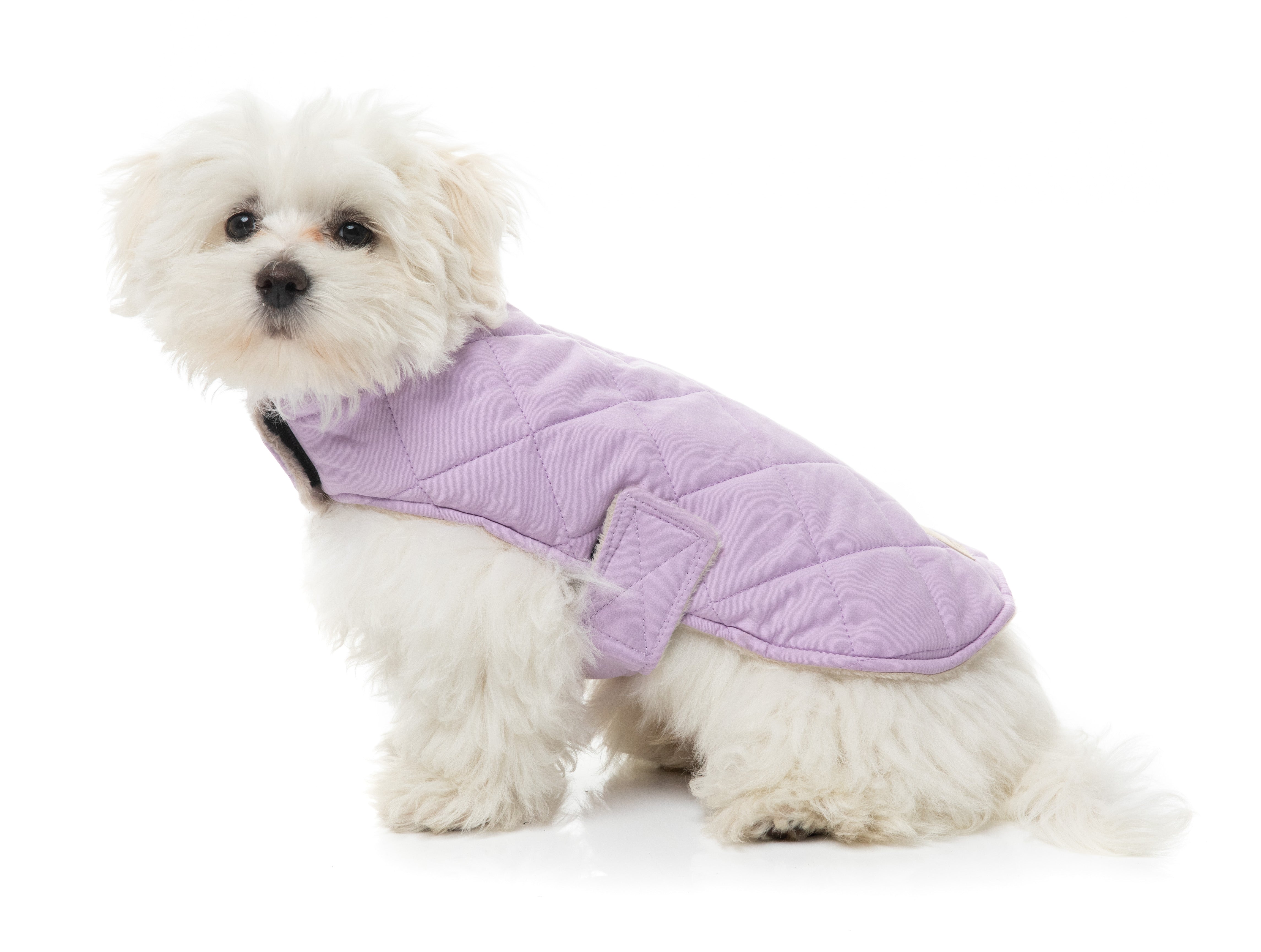FuzzYard Life Wrap Vest - Lilac