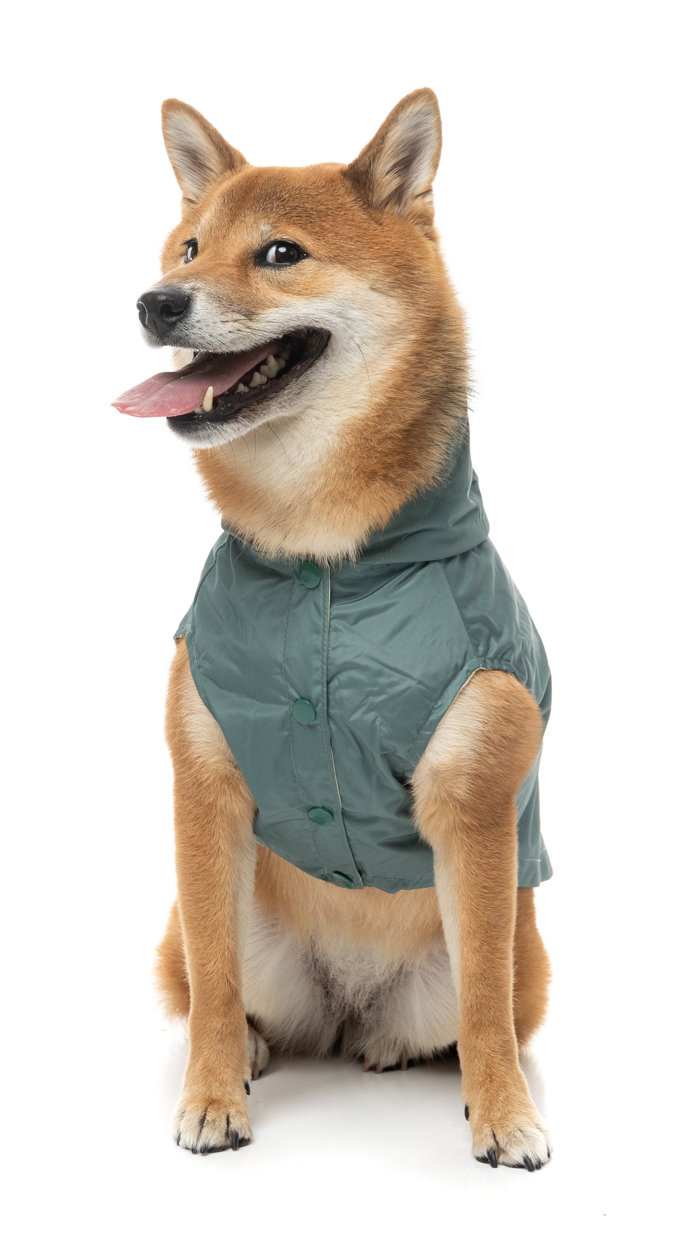 FuzzYard Life Raincoat - Myrtle Green