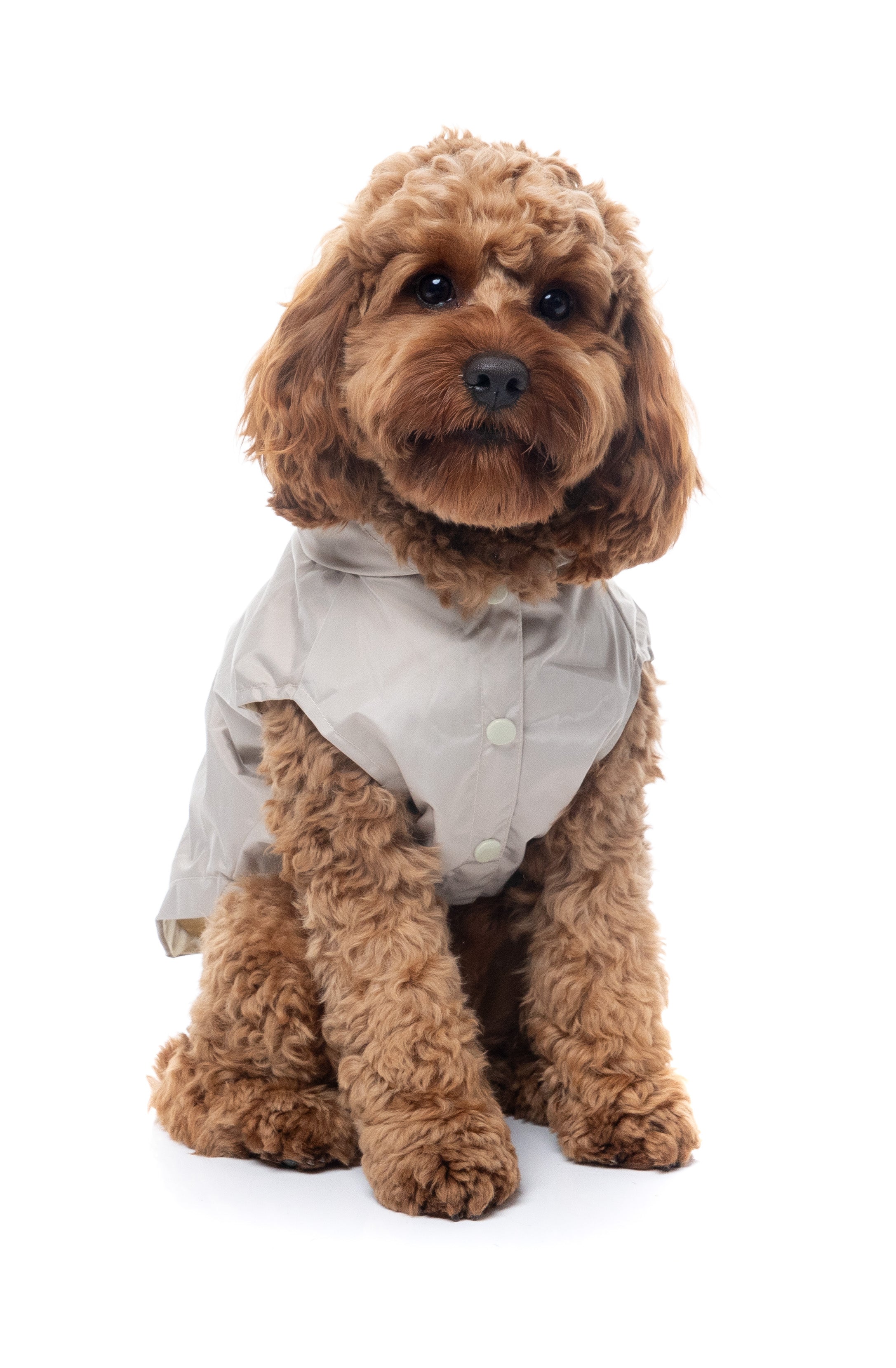 FuzzYard Life Raincoat - Sandstone