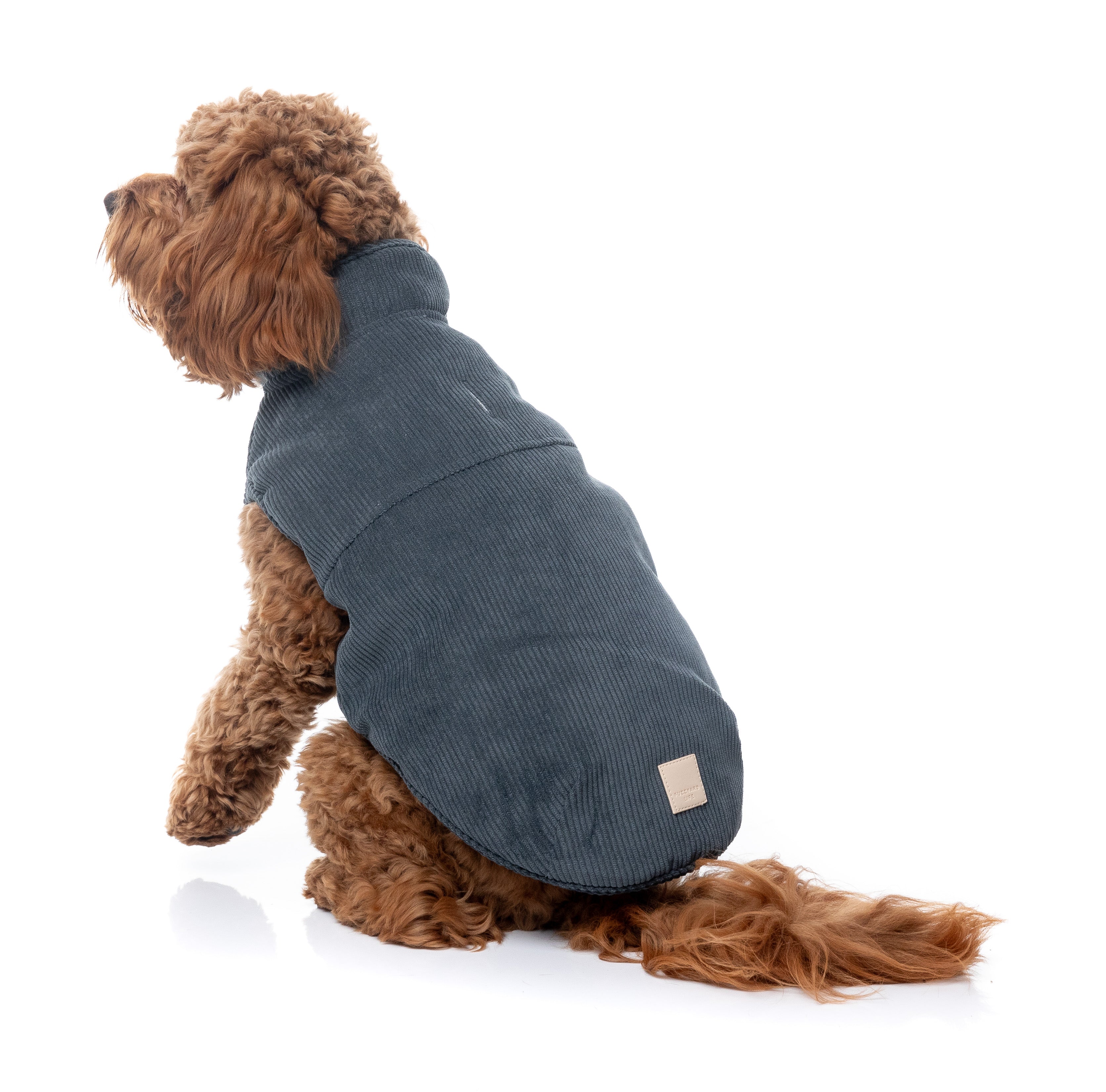 FuzzYard Life Corduroy Jacket - Slate Grey