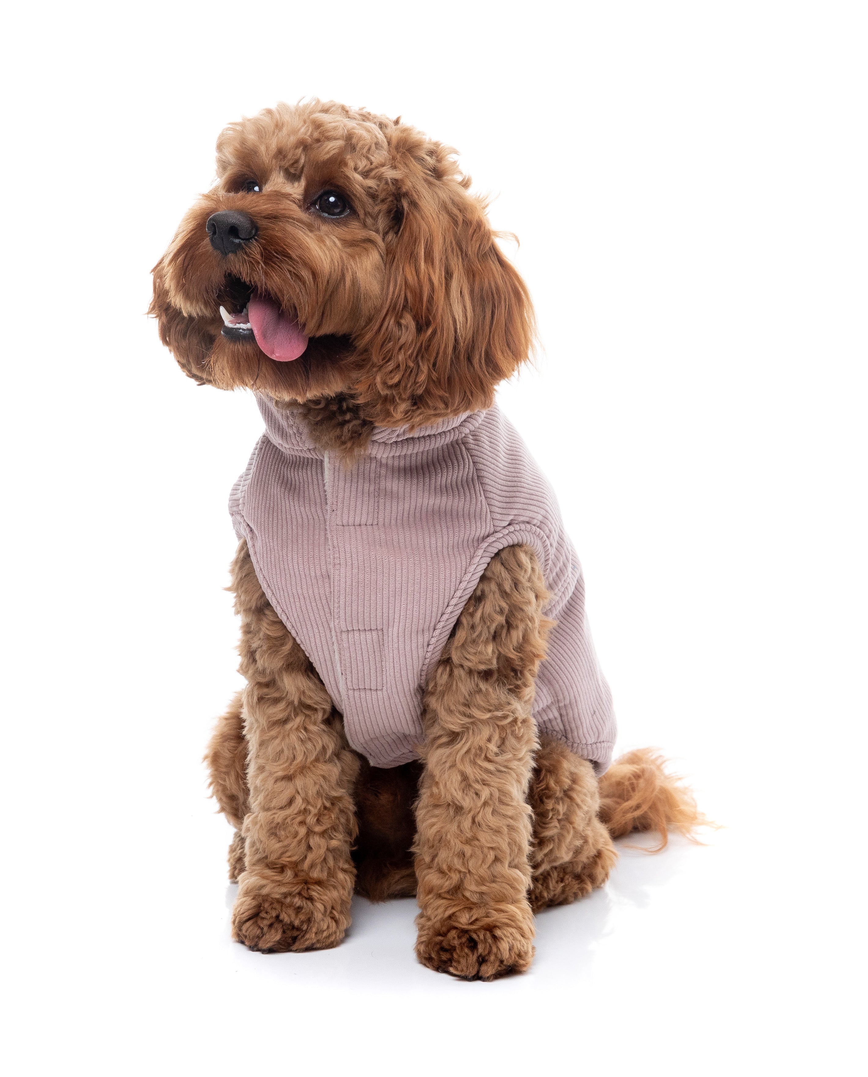 FuzzYard Life Corduroy Jacket - Soft Blush
