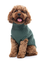 FuzzYard Life Knitted Sweater - Myrtle Green