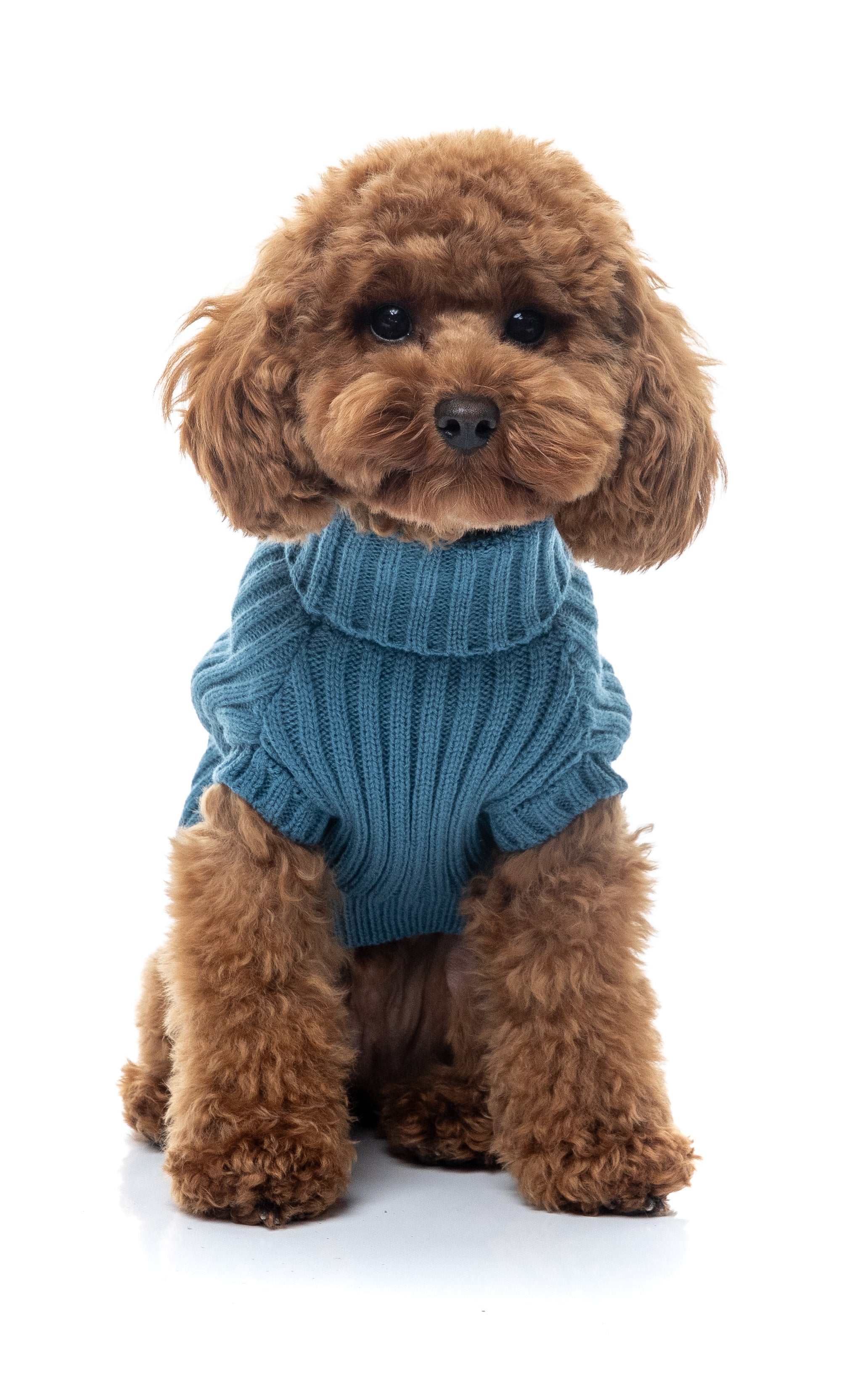 FuzzYard Life Knitted Sweater - French Blue
