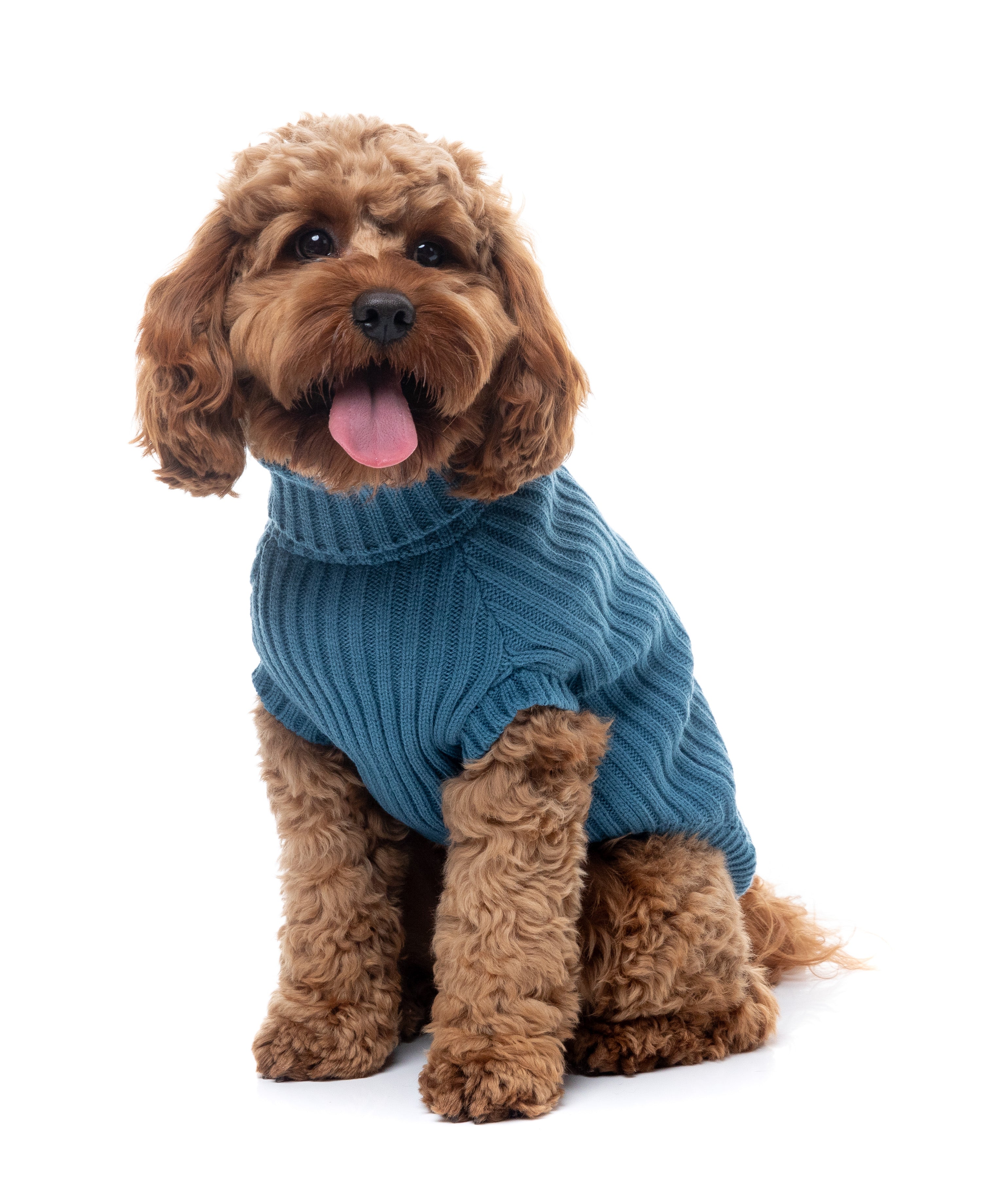 FuzzYard Life Knitted Sweater - French Blue