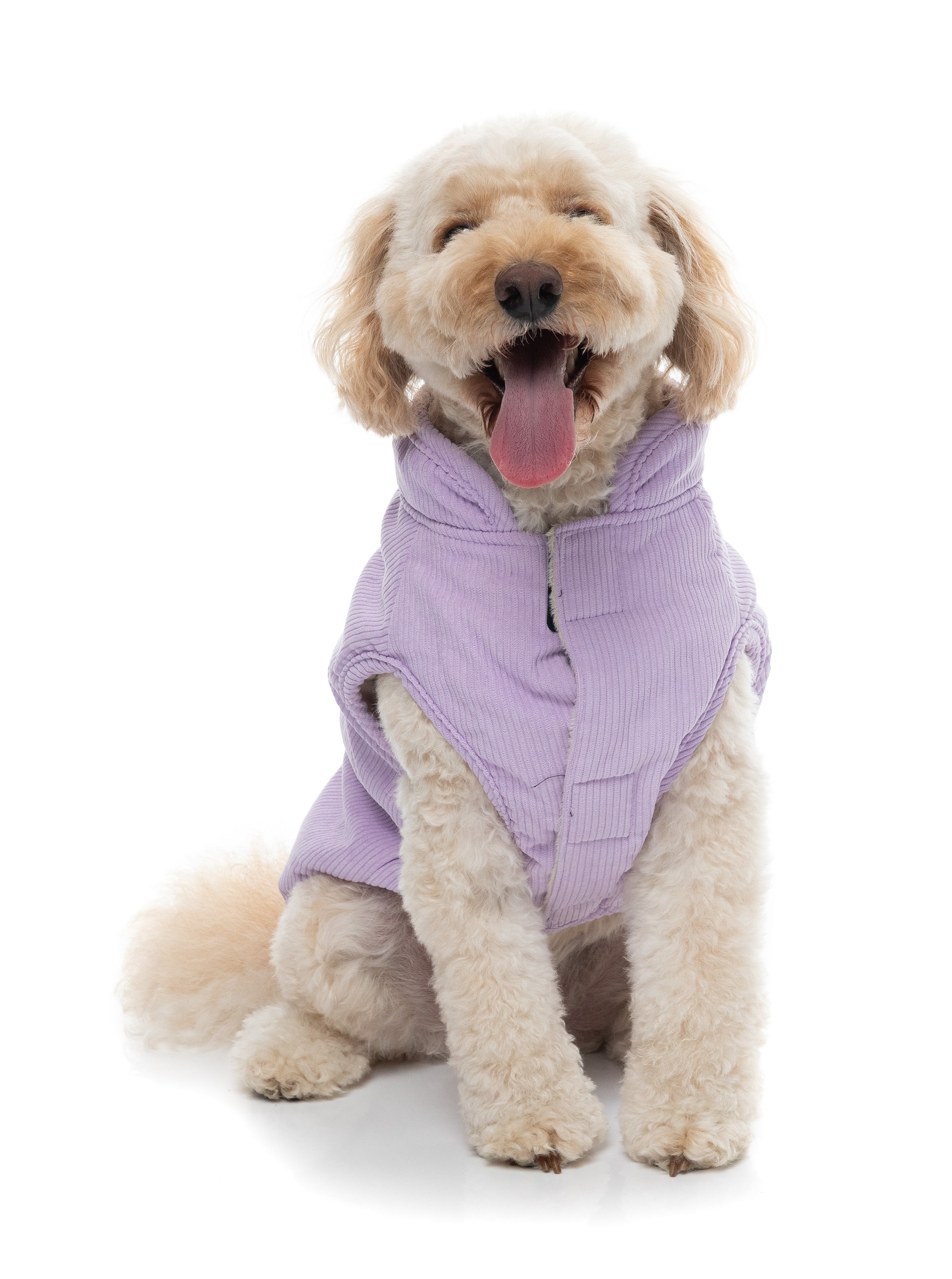 FuzzYard Life Corduroy Jacket - Lilac