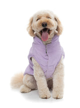 FuzzYard Life Corduroy Jacket - Lilac