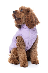 FuzzYard Life Corduroy Jacket - Lilac