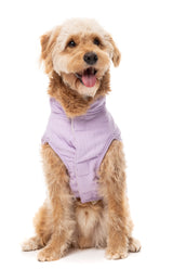 FuzzYard Life Corduroy Jacket - Lilac