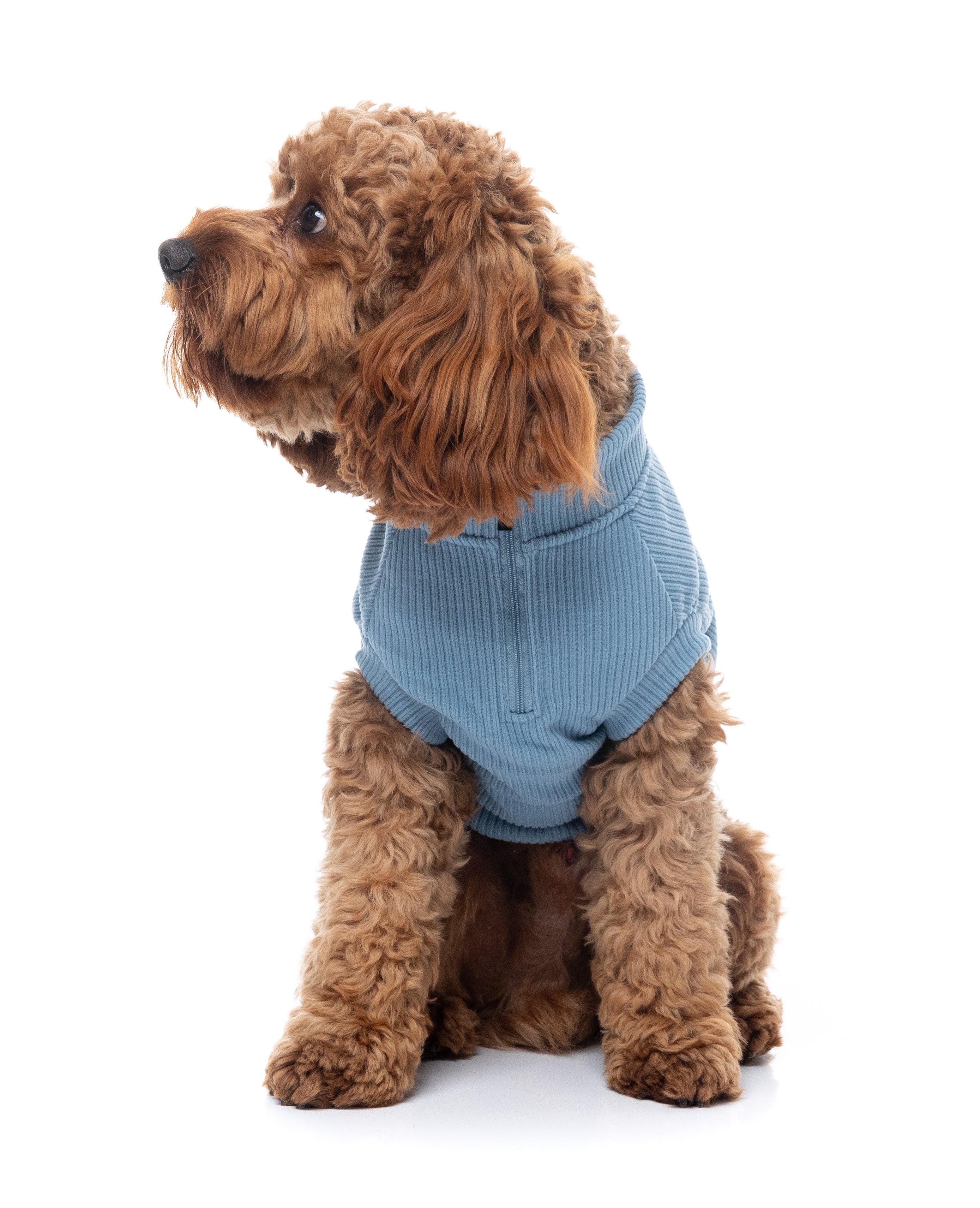 FuzzYard Life Ribbed Sweater - French Blue