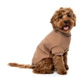 Stevie Sweater 26 - Latte