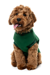 Allday Sweater 26 - Green