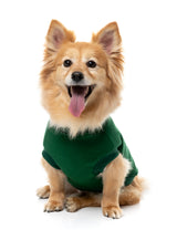 Allday Sweater 26 - Green