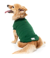 Allday Sweater 26 - Green