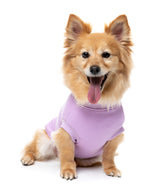 Allday Sweater 26 - Lilac