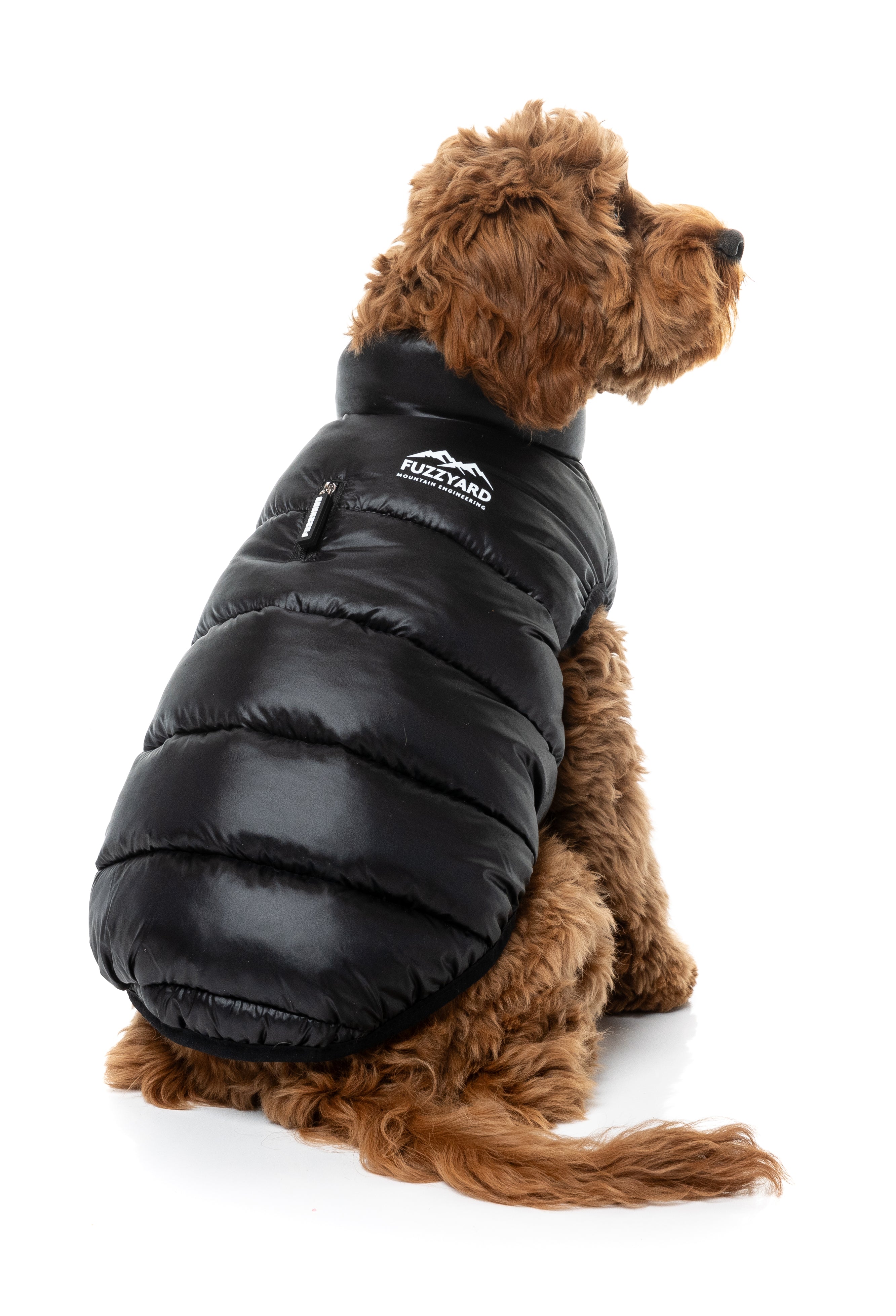 East Harlem Puffer Jacket - Black