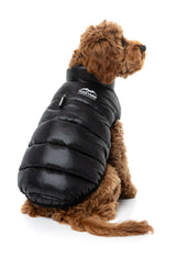East Harlem Puffer Jacket - Black