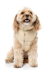East Harlem Puffer Jacket - Beige