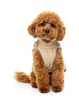 Horizon 26 Jacket - Taupe