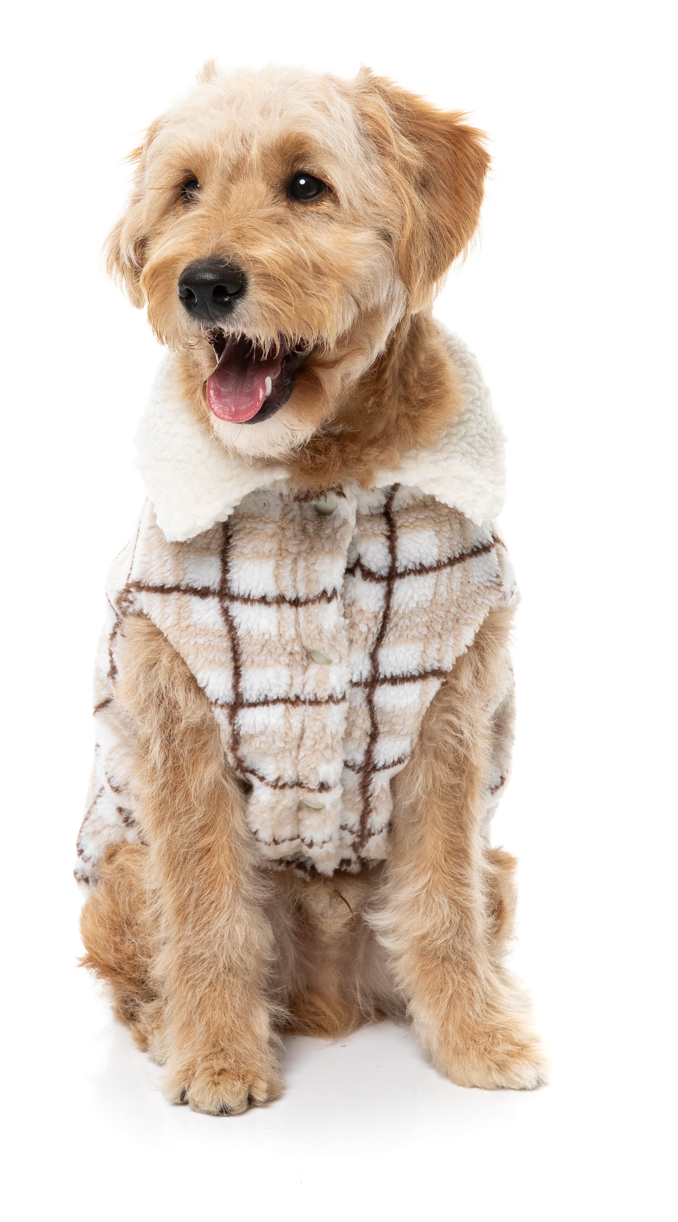The Lumberjack 26 Jacket - Beige