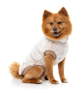 Frosted Teddy Sweater - Latte