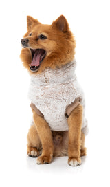 Frosted Teddy Sweater - Latte