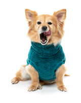 Turtle Teddy Sweater 26 - Deep Teal
