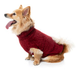 Turtle Teddy Sweater 26 - Maroon