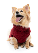 Turtle Teddy Sweater 26 - Maroon