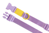 Sugar Rush Collar - Sherbet Pop