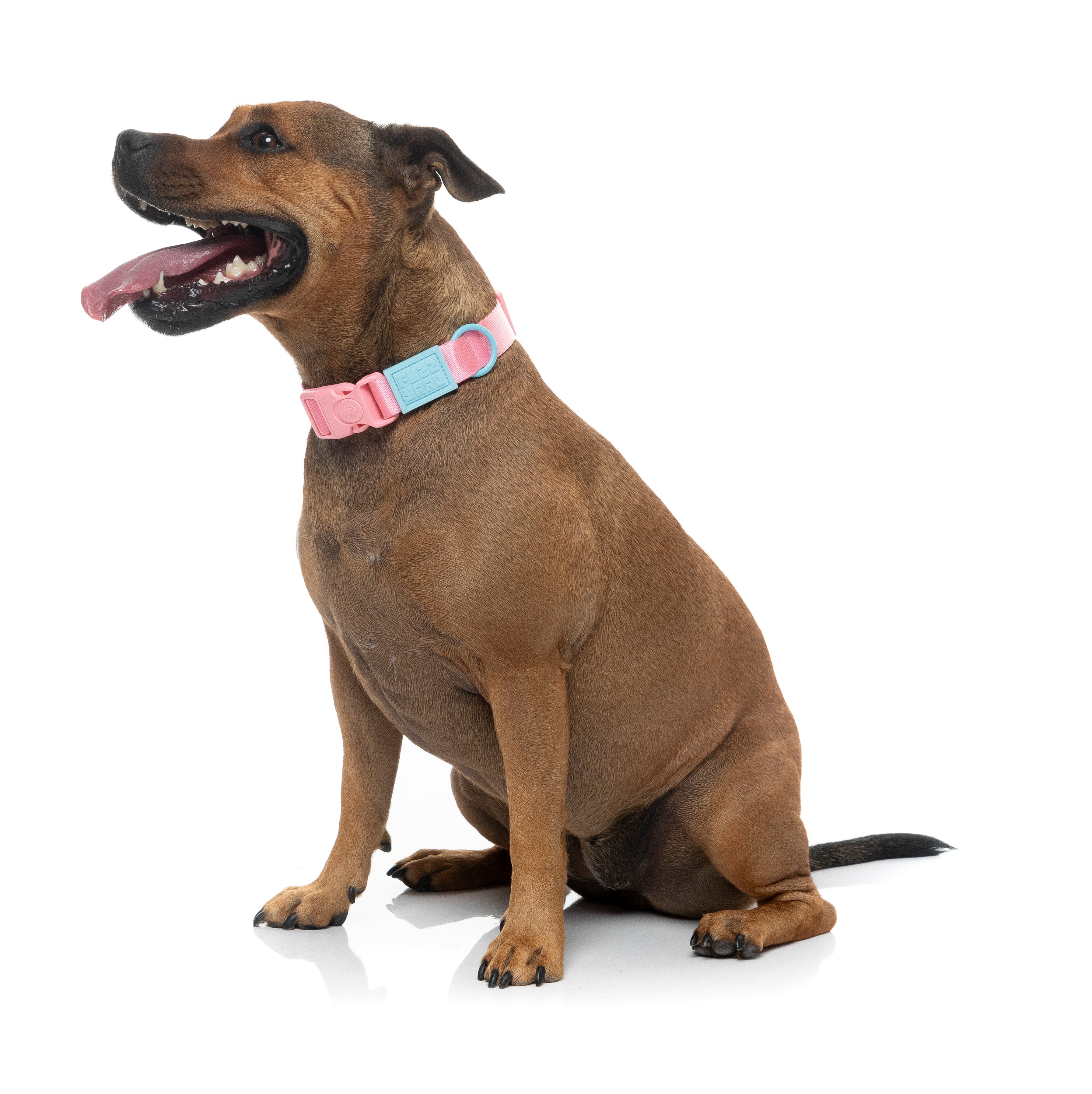 Sugar Rush Collar - Bubblegum Bliss