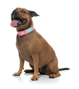 Sugar Rush Collar - Bubblegum Bliss