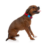 Sugar Rush Collar - Cherry Charge
