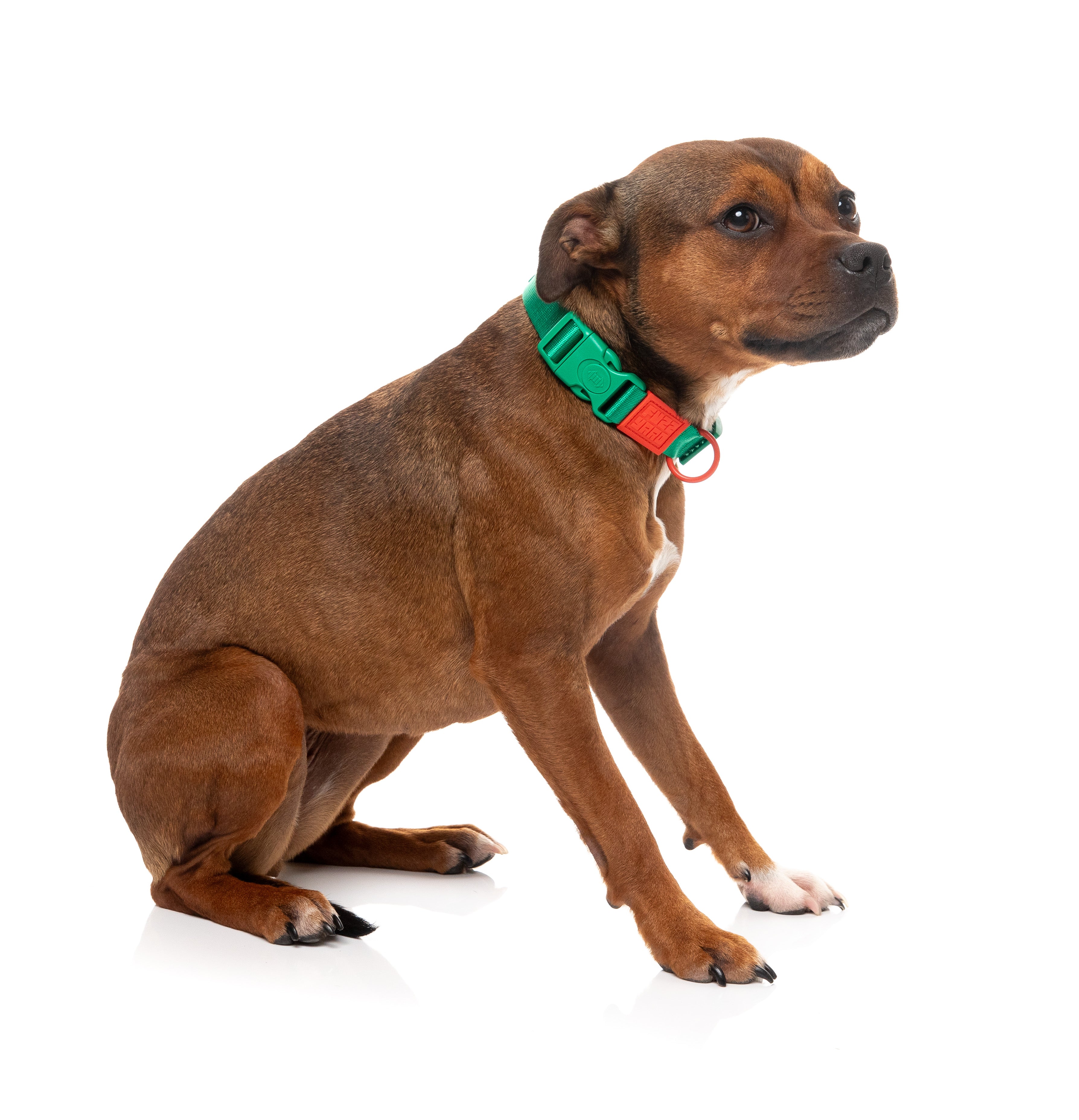 Sugar Rush Collar - Sour Patch