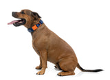 Sugar Rush Collar - Tangerine Twist