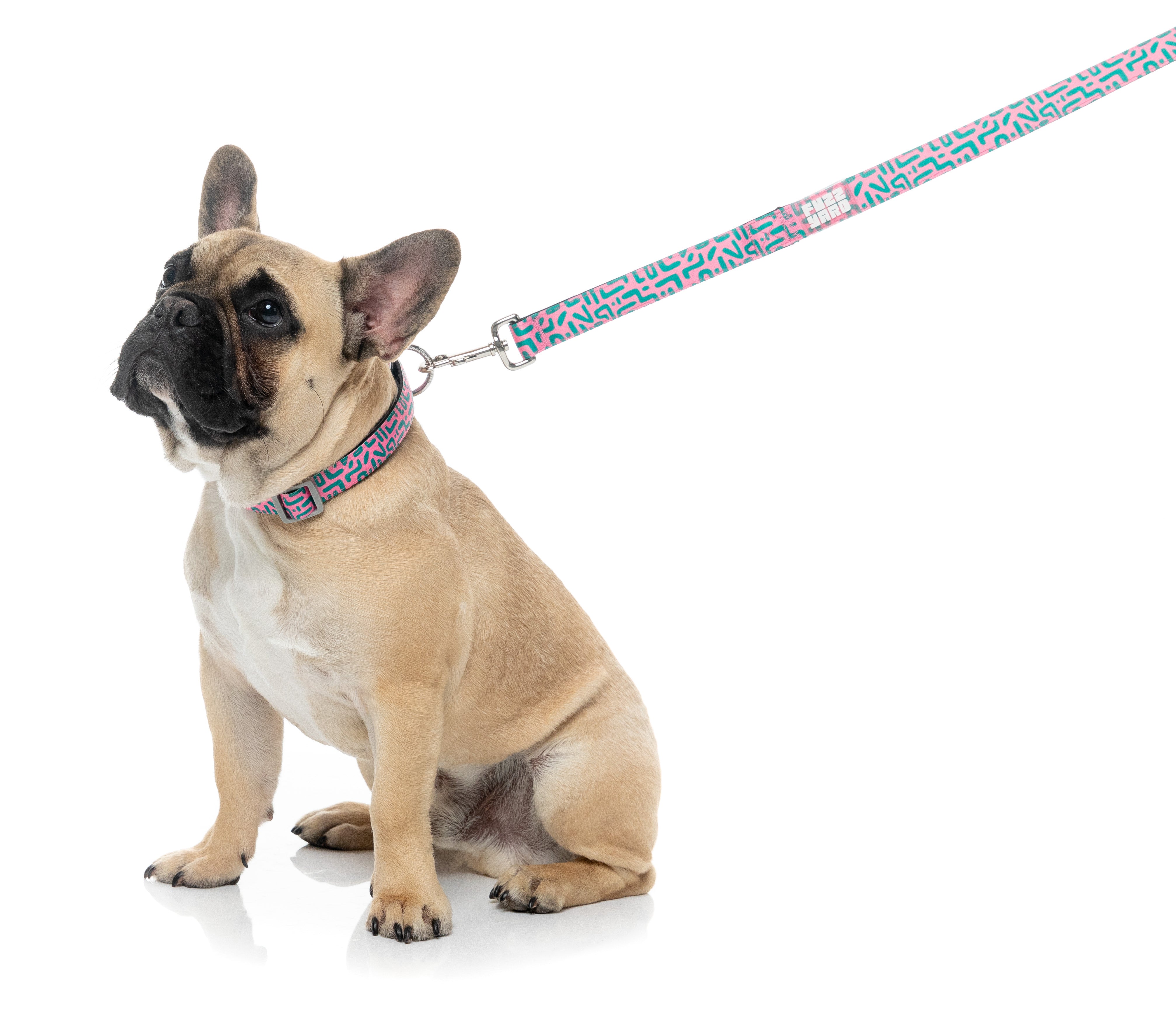 Samba - Melon - Dog Lead