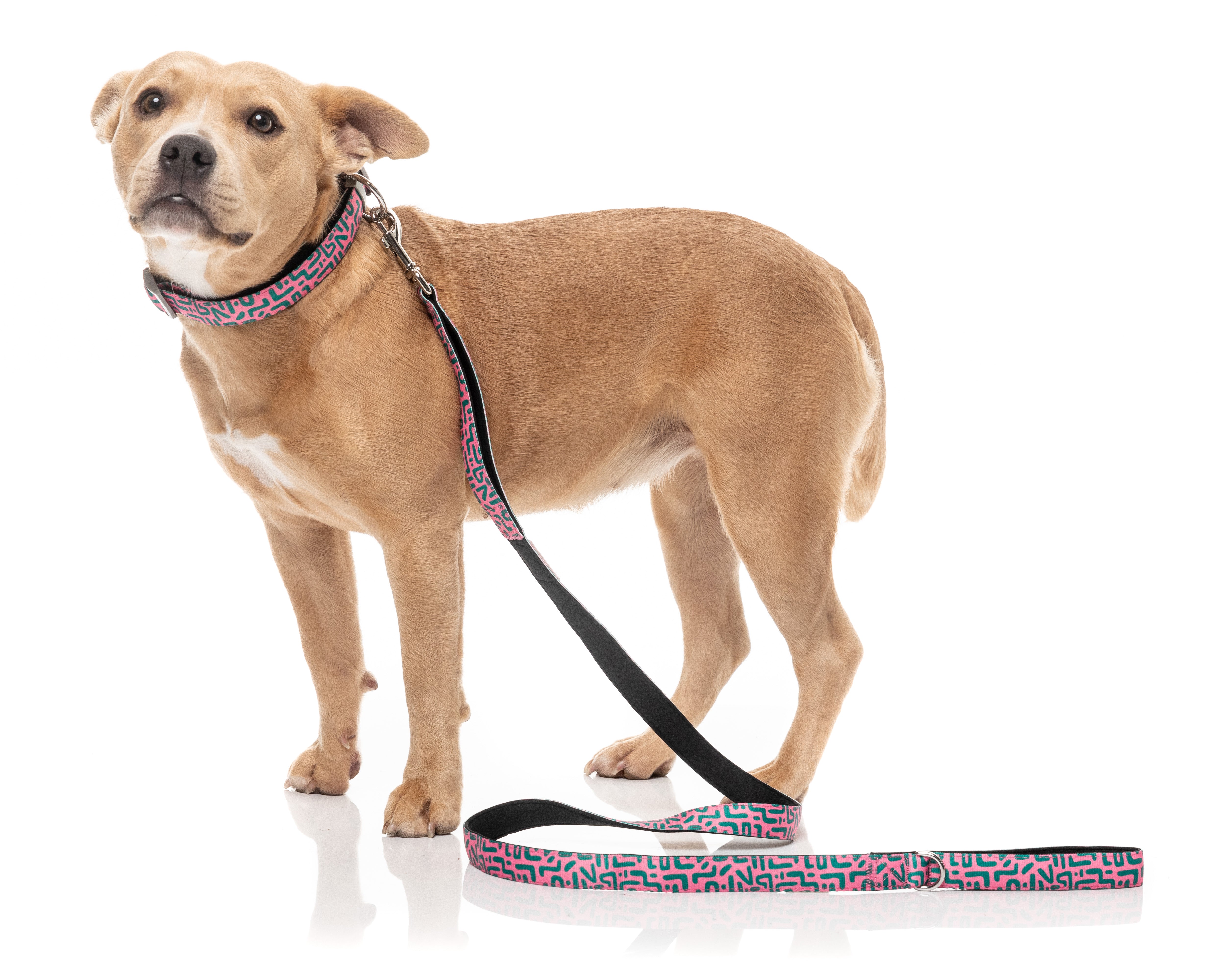 Samba - Melon - Dog Lead