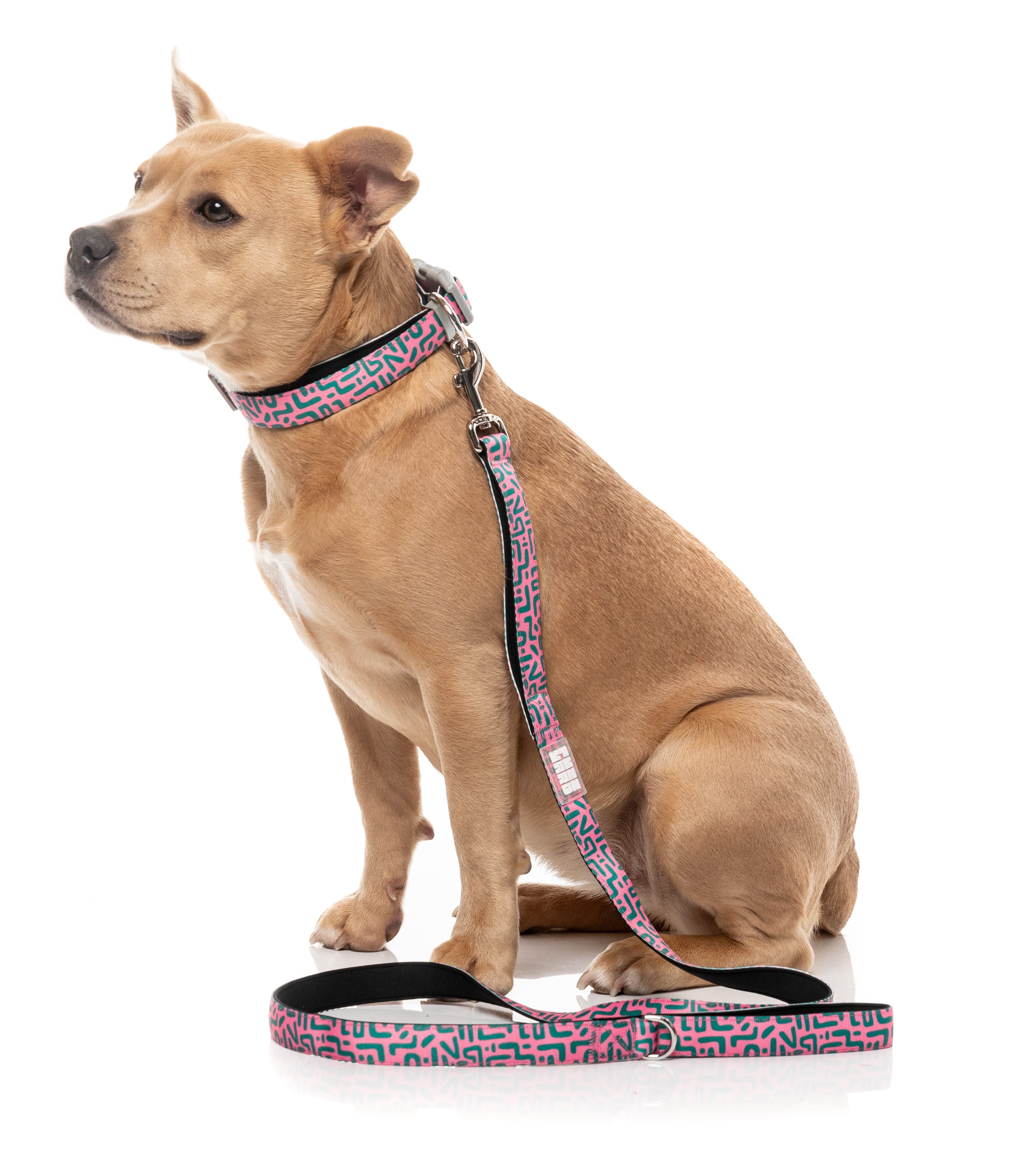 Samba - Melon - Dog Lead